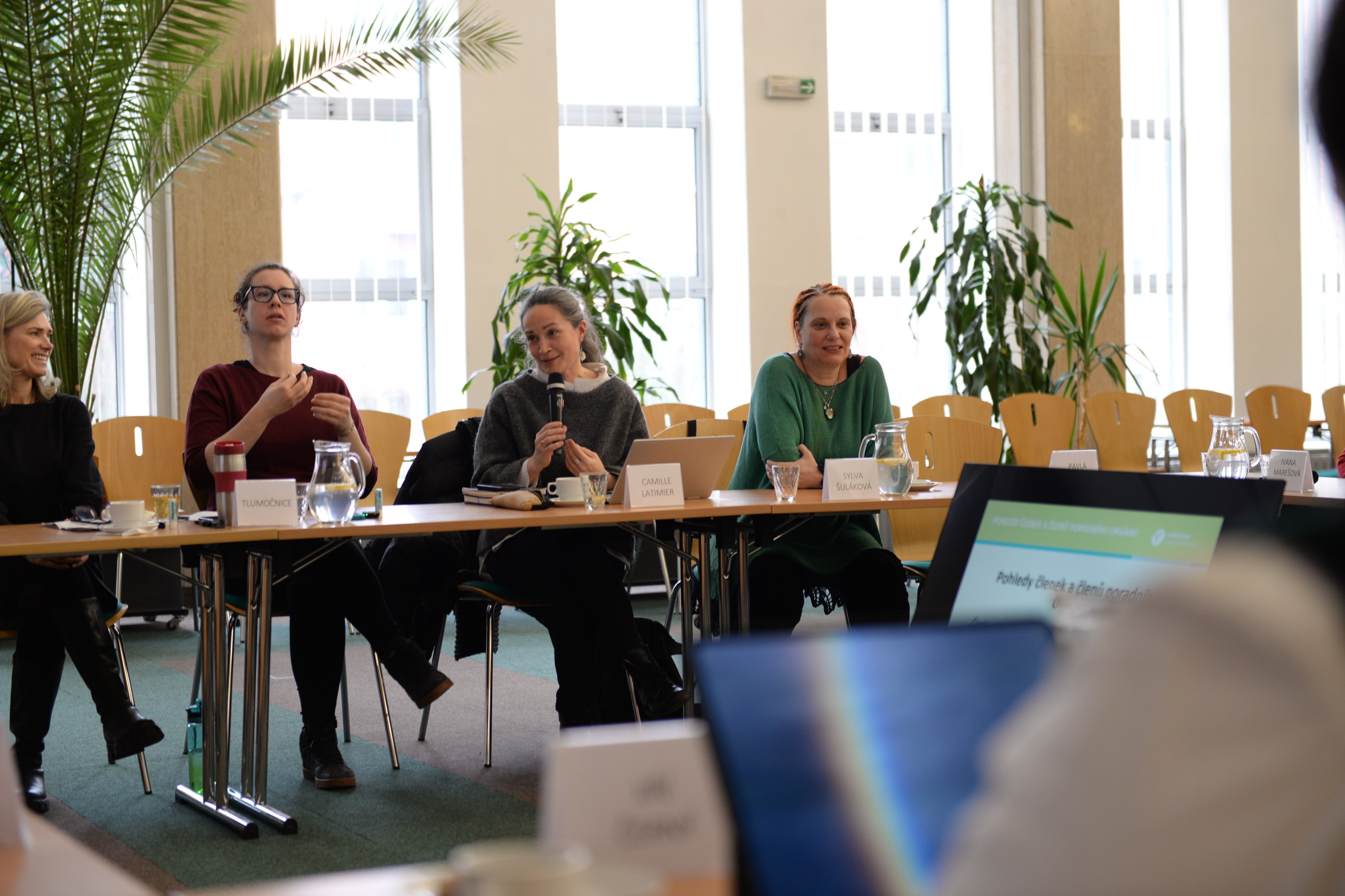 Zasedání Poradního orgánu ombudsmana, diskuze členů 